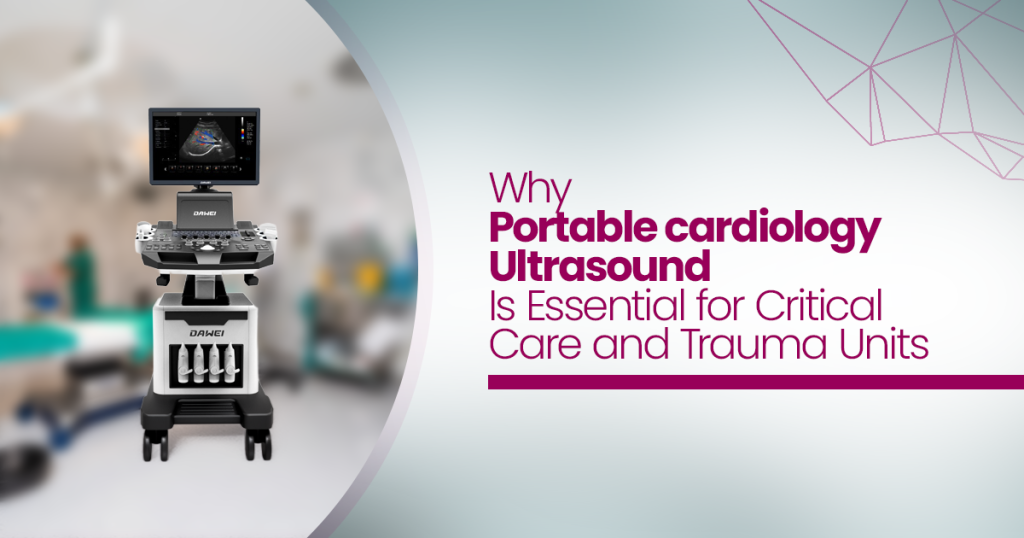 Portable cardiology Ultrasound